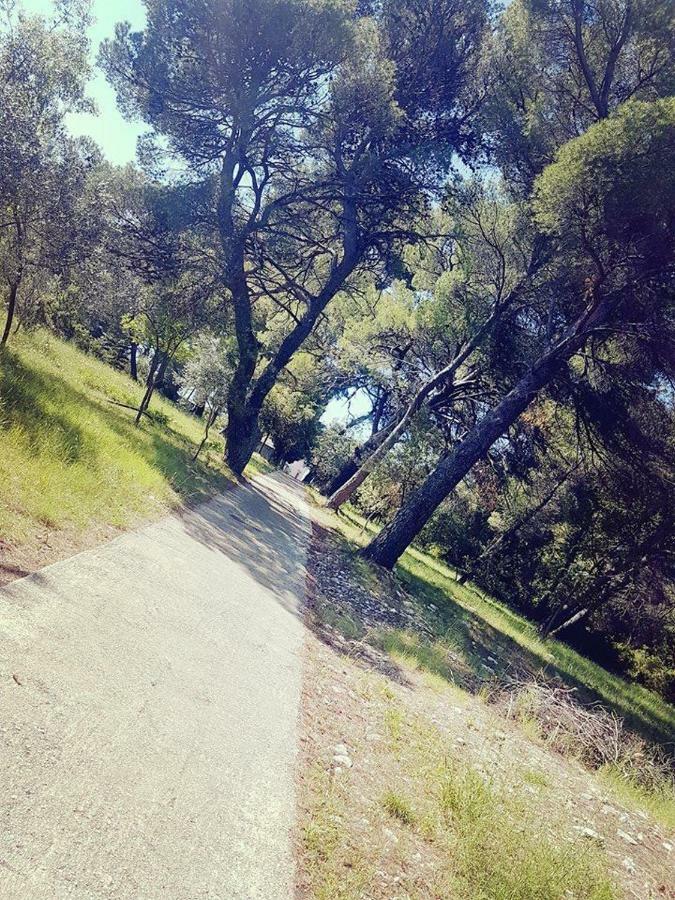 זאטון Hanas Dream Places מראה חיצוני תמונה