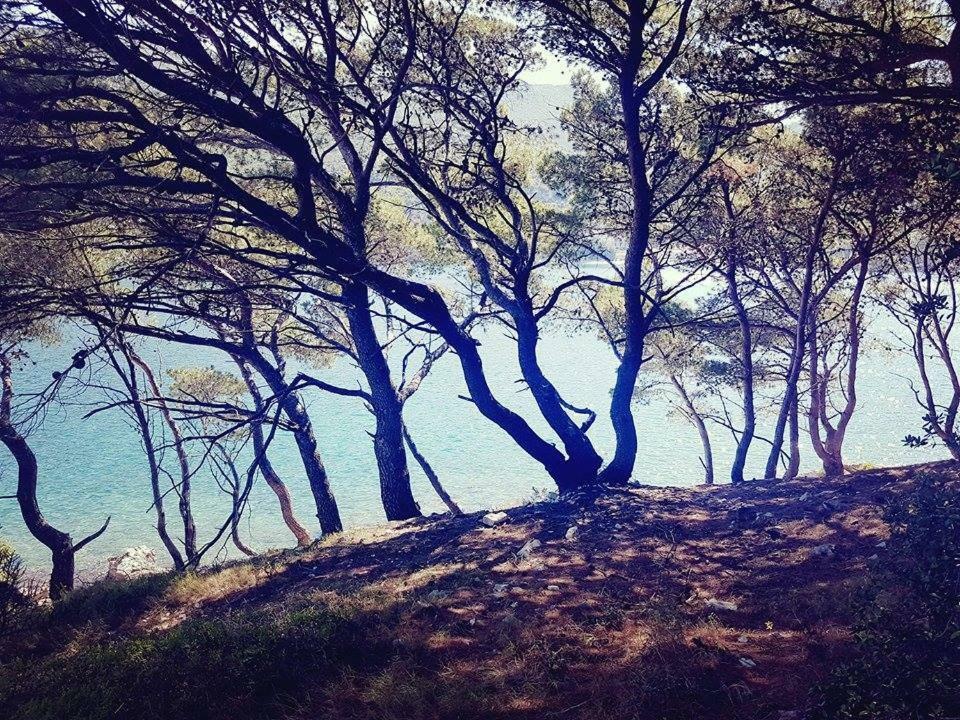זאטון Hanas Dream Places מראה חיצוני תמונה